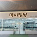 강아지분양 마이댕냥 일산점 이미지