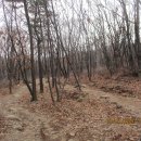 계양산 피고개사거리 이미지