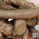 과일나라건강원