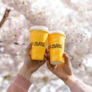 (주)블렌즈 이미지