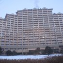 비발디의아침 이미지