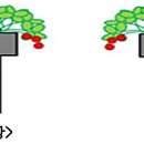 6월 농업시설 환경관리 요령