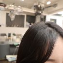 로이드밤헤어목동역점