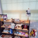 원두댕댕이 이미지