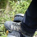 한국1호 이미지