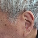 포낙보청기평택센터 이미지