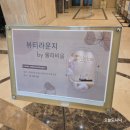 올리비움산후조리원 | 올리비움 산후조리원 산전마사지 후기 (feat. 올리바인 뷰티라운지)