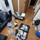 욜로펫 | [도쿄 워홀 🇯🇵] 도쿄에서의 3월은 어땠나?! 🍮🐾