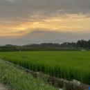 유앤미풀빌라 이미지