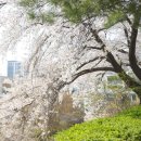 Hi-DS 정비센타 이미지