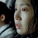 빛과 사진 이미지