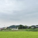 라프커피(LLAF COFFEE) 이미지