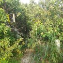 유격장 지나 이미지