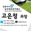 타미우스빌리지 네이버블로그
