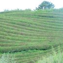 신촌마을길 이미지