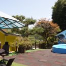 워시벨리 이미지