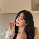 나인컨셉