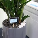 강남부동산중개 이미지