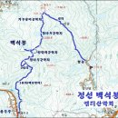 7월 13일 토요당일 - 정선 백석봉+항골 신청안내(28인승/31인승) 이미지