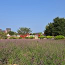 코리아플라워파크 이미지