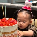 유현갈비찜 | 영등포 코트야드 메리어트 뷔페 모모카페 디너 아기 두돌 생일파티 후기