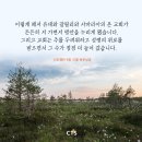 [CTS 말씀이미지] 사도행전 9장 31절 #말씀이미지 #감경철 #CTS #핸드폰배경화면 이미지