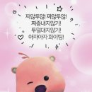 울산시립미술관 이미지