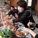 금손민박 이미지