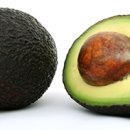 청라루비동물병원 이미지