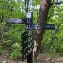 UR(의정부시)-[회룡로]-하-30 | 등산초보 불수사도북 첫 도전기, 솔직후기