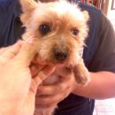 성서초교 이미지