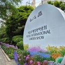 애기등 공원　 | 2025 보라매공원 서울국제정원박람회 | 마켓,푸드트럭, 주차,메타몽 실시간 후기 (2025.05.23)