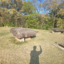 강화도 가족 여행 이미지