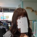 산호동050 이미지