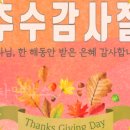 대복민박 네이버블로그