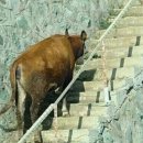 보성다비치콘도 이미지