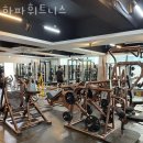 하단동177 | 하단동헬스 하파휘트니스 위치 정보