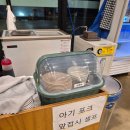 메밀꽃이피었습니다 | 일산 맛집 고명환 메밀국수 메밀꽃이 피었습니다