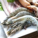 하늘과 소나무 이미지