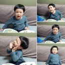 애니멀즈 이미지