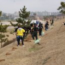 안산정보산업고등학교 무궁화 식목행사(4. 4) 이미지