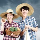 농업회사법인 주식회사 미래 이미지