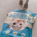 더펫샵 | 더펫샵 짜먹는 고양이츄르 #대용량혼합간식 기호성 굿!