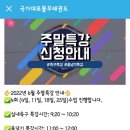 국가대표불무태권도 이미지