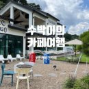 똥개애견카페 이미지