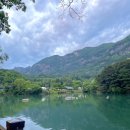 향유카페 이미지