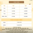 멍문대 애견유치원 이미지