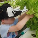 황포농장 이미지