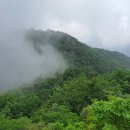 오산6리 | 견두지맥 마지막 제2구간 고산터널에서 황전천 합수점까지 산행후기