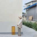 모모펫그루머 이미지